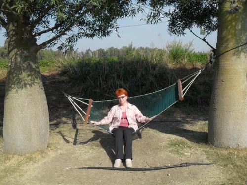 082_10.11.17_11-08_парк орхидей Утопия.JPG