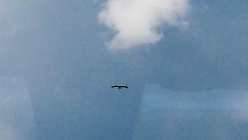 068 — копия.JPG