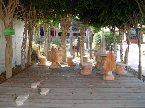 033_10.11.17_10-46_парк орхидей Утопия.JPG