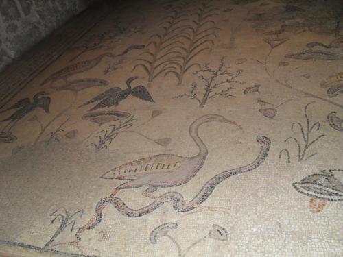 190_10.11.16_16-18_Церковь Преумножения_византийский пол.JPG