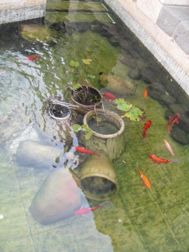 196_10.11.16_16-20_Церковь Преумножения_внутренний двор.JPG