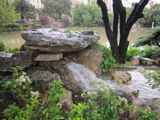 IMG_4693.JPG
