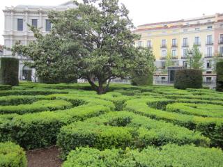 IMG_5026.JPG
