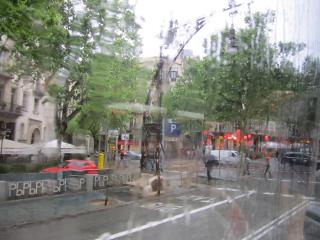 IMG_4650.JPG