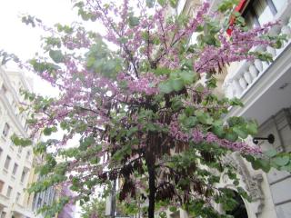 IMG_5052.JPG