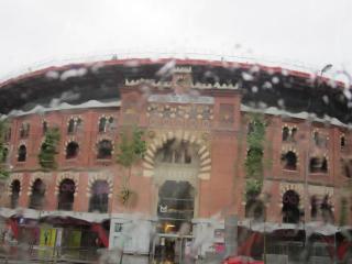 IMG_4641.JPG