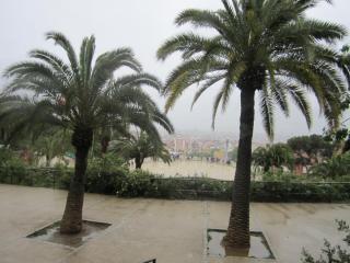 IMG_4725.JPG