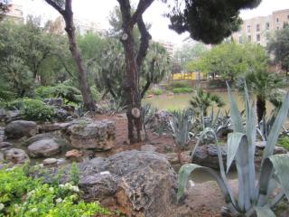 IMG_4684.JPG