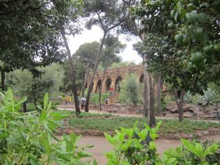 IMG_4711.JPG