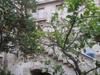 IMG_4903.JPG