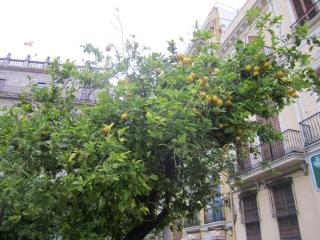 IMG_4869.JPG
