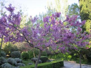 IMG_5343.JPG