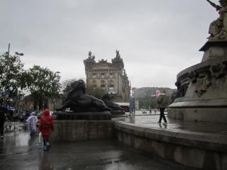IMG_4765.JPG