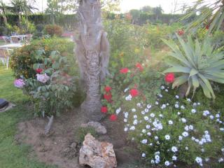IMG_5375.JPG