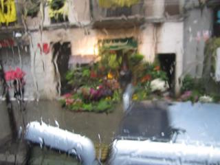 IMG_4663.JPG