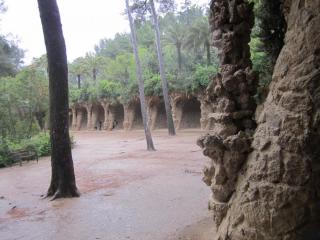 IMG_4723.JPG