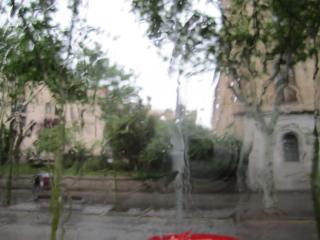 IMG_4642.JPG