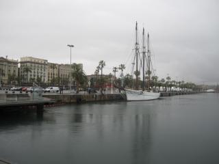 IMG_4769.JPG