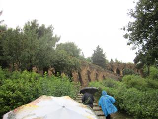 IMG_4712.JPG