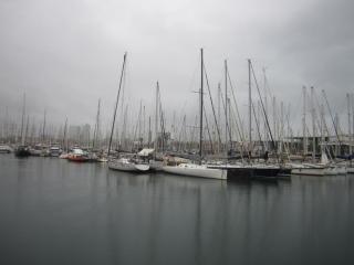 IMG_4770.JPG