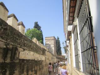 IMG_5457.JPG