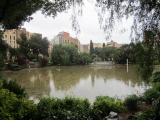 IMG_4694.JPG