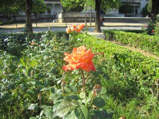 IMG_5394.JPG