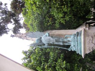 IMG_4871.JPG