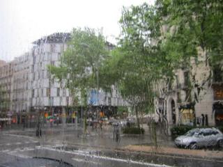 IMG_4655.JPG