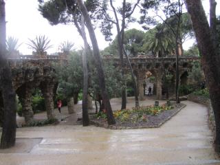 IMG_4735.JPG
