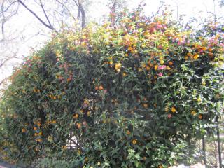IMG_5430.JPG