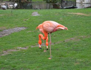 DSC_0669.JPG
