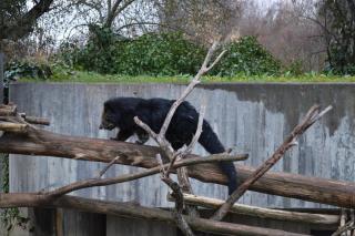 DSC_0552.JPG