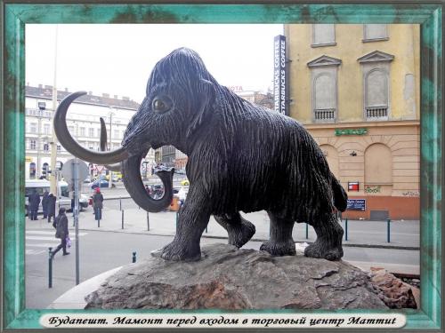 DSCN1978 Будапешт Мамонт.jpg
