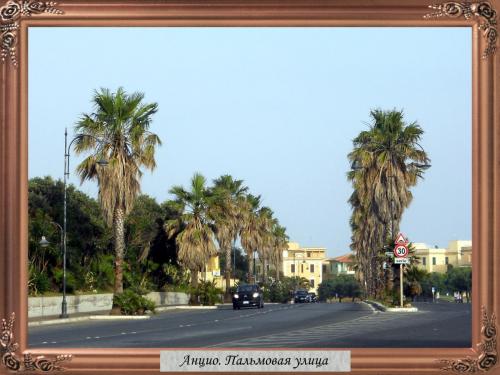 DSCN1463 Анцио Пальмовая улица.jpg