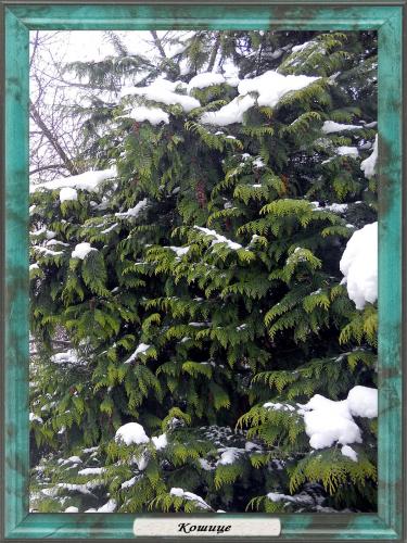 DSCN2127 Кошице.jpg