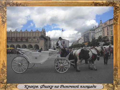 DSCN0841_Краков Фиакр на Рыночной площади.jpg