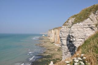 DSC_3323.JPG