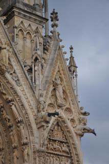 DSC_5448.JPG
