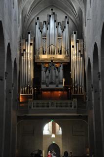 DSC_1696.JPG