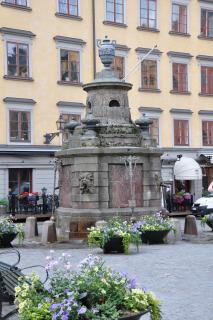 DSC_1849.JPG