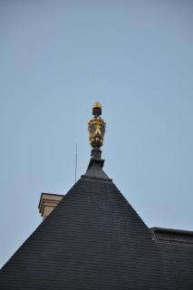 DSC_3915.JPG