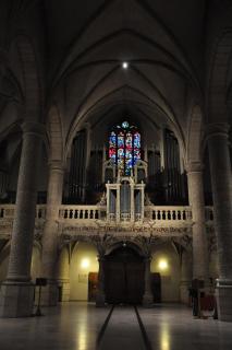 DSC_5509.JPG