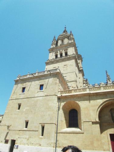 SDC11803.JPG