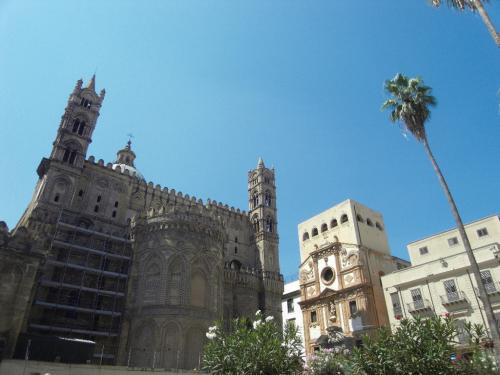 SDC11432.JPG