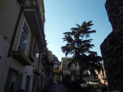SDC10973.JPG
