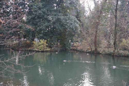 Парк в Милане_05.JPG