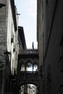 SDC11659.JPG