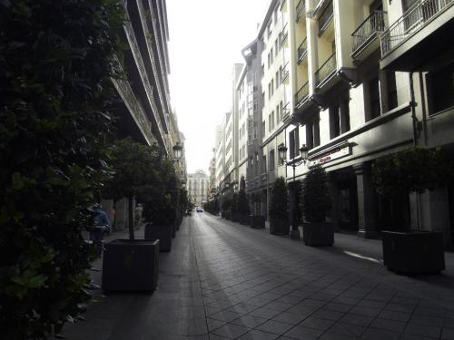 SDC10208.JPG