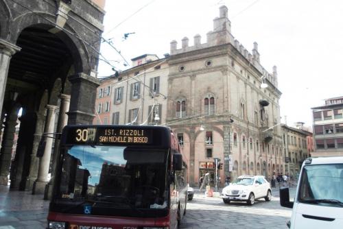 SDC13104.JPG
